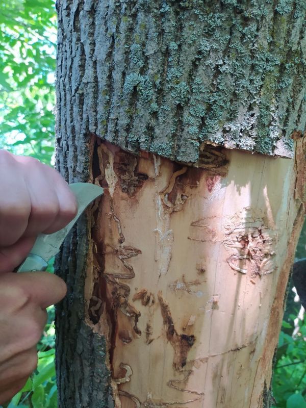 � ��������� �������� ���������� ���������� ���������� ��������������� ��������� ������ ������� �����