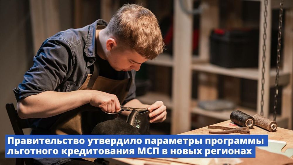 Ольга Кобцева: Правительство утвердило параметры программы льготного кредитования МСП в новых регионах