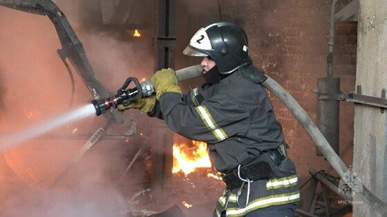 ��������� ������������� ����������� �������� �������� �� ������� ���