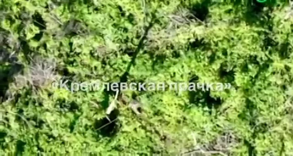 ��������� �������� ����������, ������ ��������