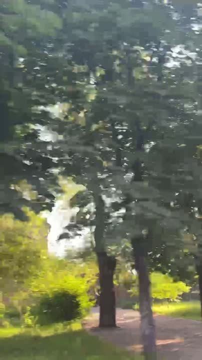 �������, ����� ������������ �����, ��������� ���