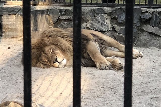 ���������� ����������������� �� ��������� �������� ���������� ������� �������������� ��������� ��� ���������� �������� � ���������-��������� �����