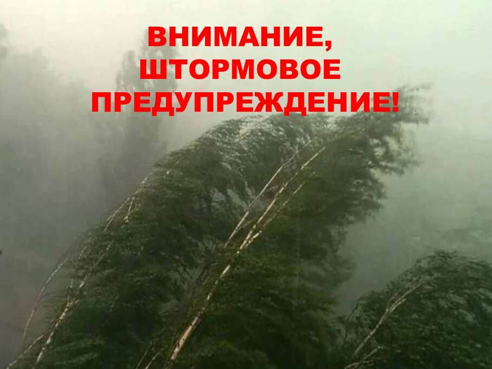 ��������� ��������������