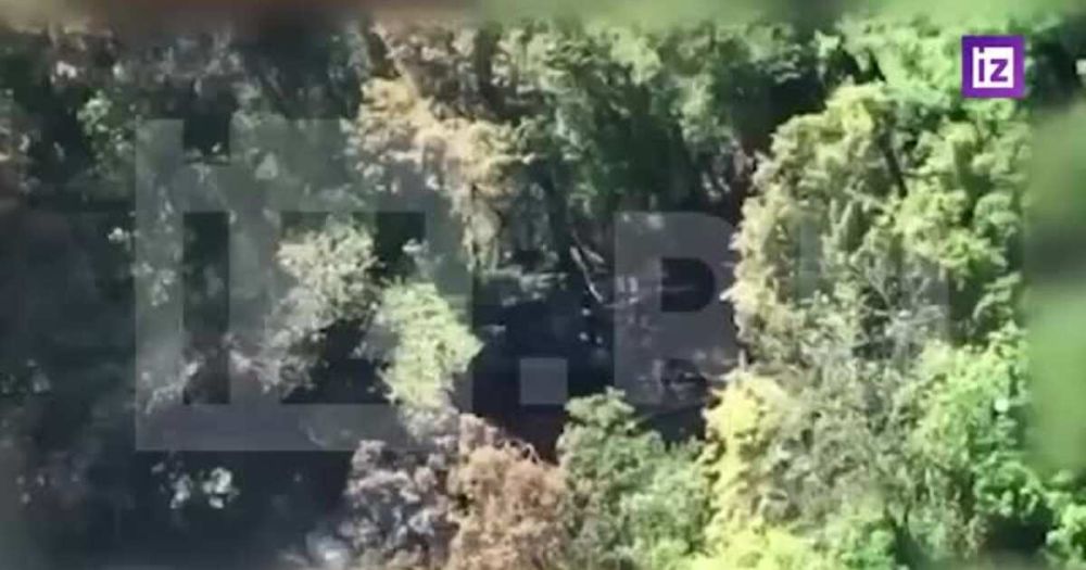 ����� ����������� ���� ���������� ������ ����������� ������������