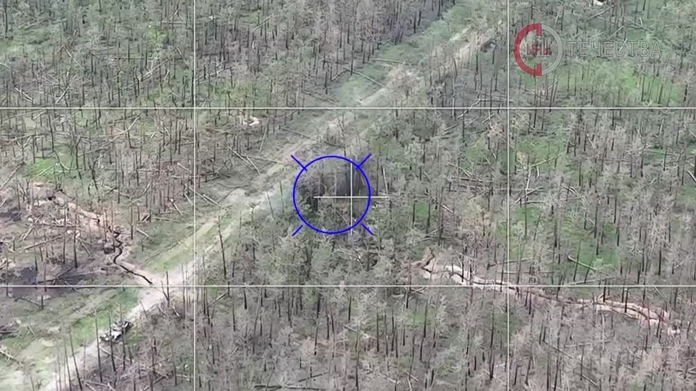 ��� ��������� ����������