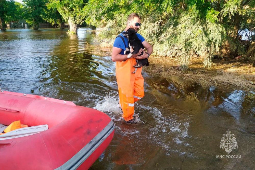 ��� ������ ���������� ������������ ������ � ���������� �������