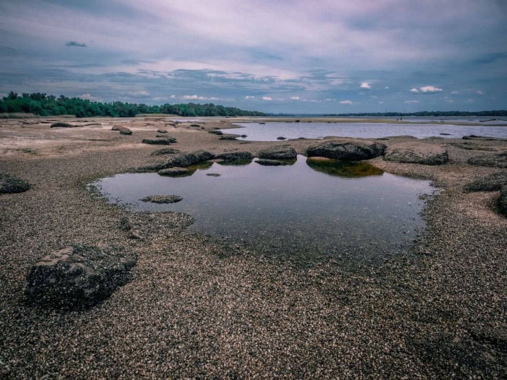 ��� ������ �������� ��������� �������������