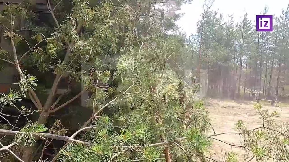 ���������� ������� �������� ������� ��� ��������� �� ��������� �����������