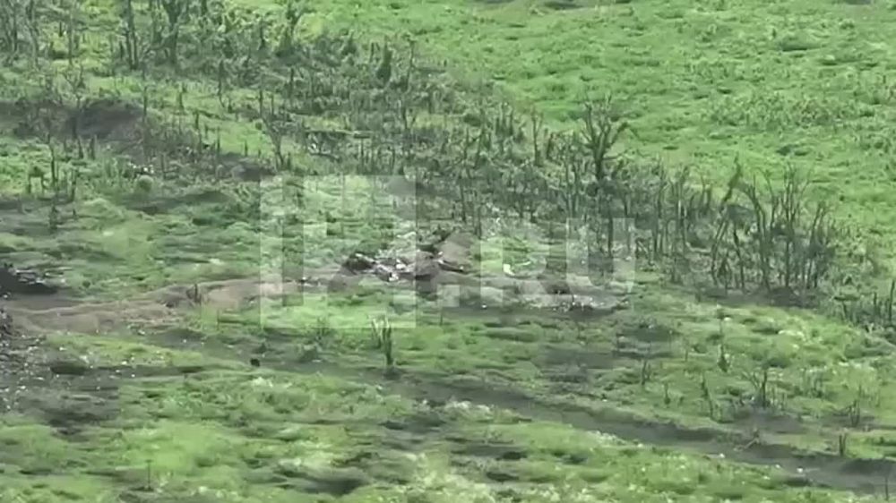 ����� ������ ���������� ����� � "����� ���" � ���