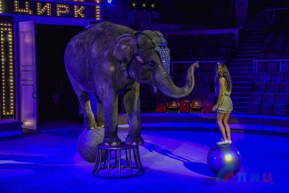 ����� 80 ���. �������� �������� ��������� "������� � ����" �� ������� �������� ���������� �������� �������� ���������� ������� � ��������� ��������������� �����