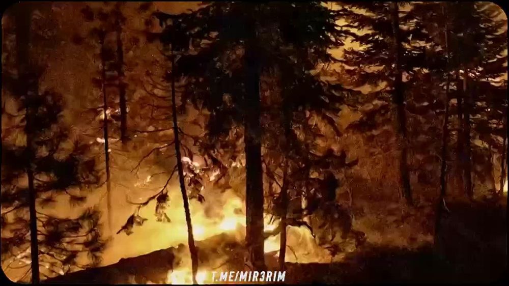 ���� ������! ������������� �����, �� ��� �� ������� ��� ����� ������� ��� � ������ ���?