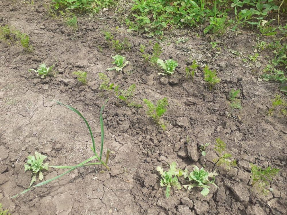 � ������� ���� � ��������� ��������� �������� ���