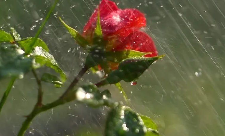 ��������� ����� � ����� ��������� ������ � ��������