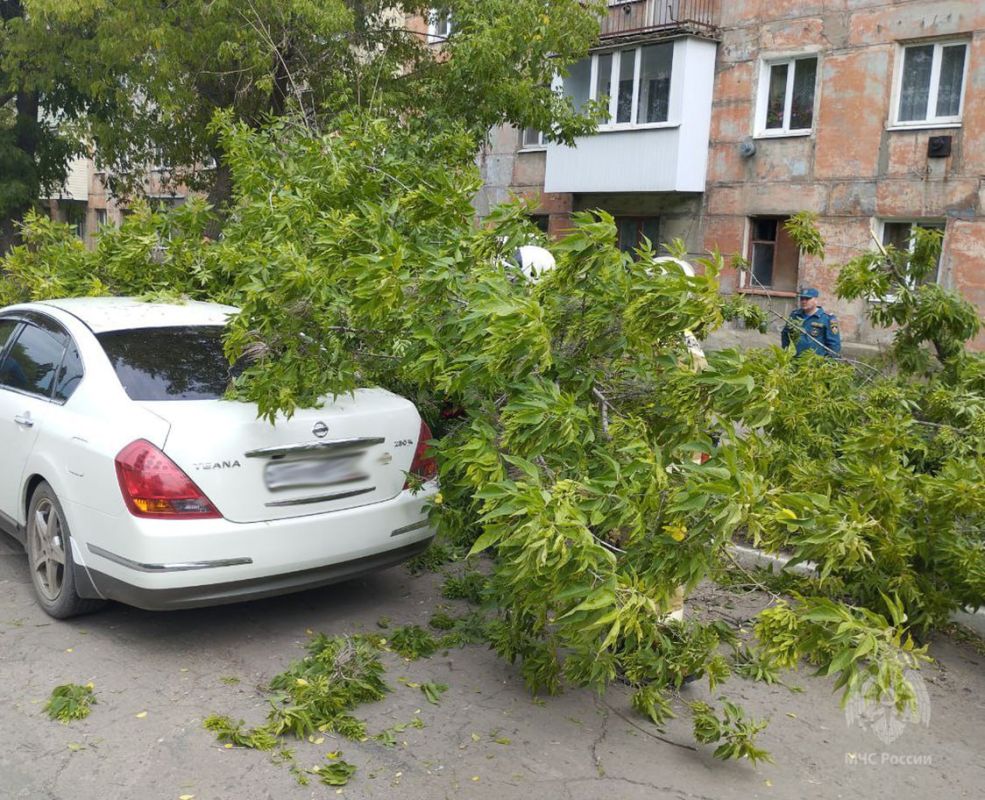 � ��������� �� ���������� ���������� ������ ����� ������