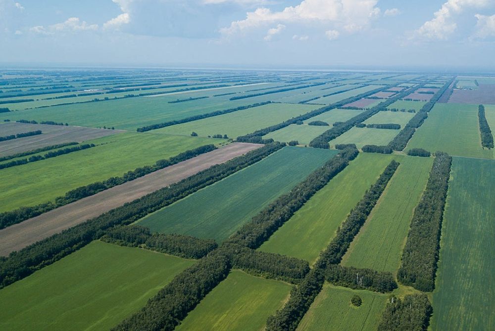 ����� �� ������ ��������������������� ���������� ����� ������������ ����������