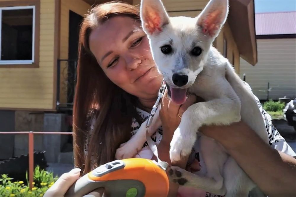 ����������� ������� � ��� ������ ��������� �������� ������, ����� ����� ���