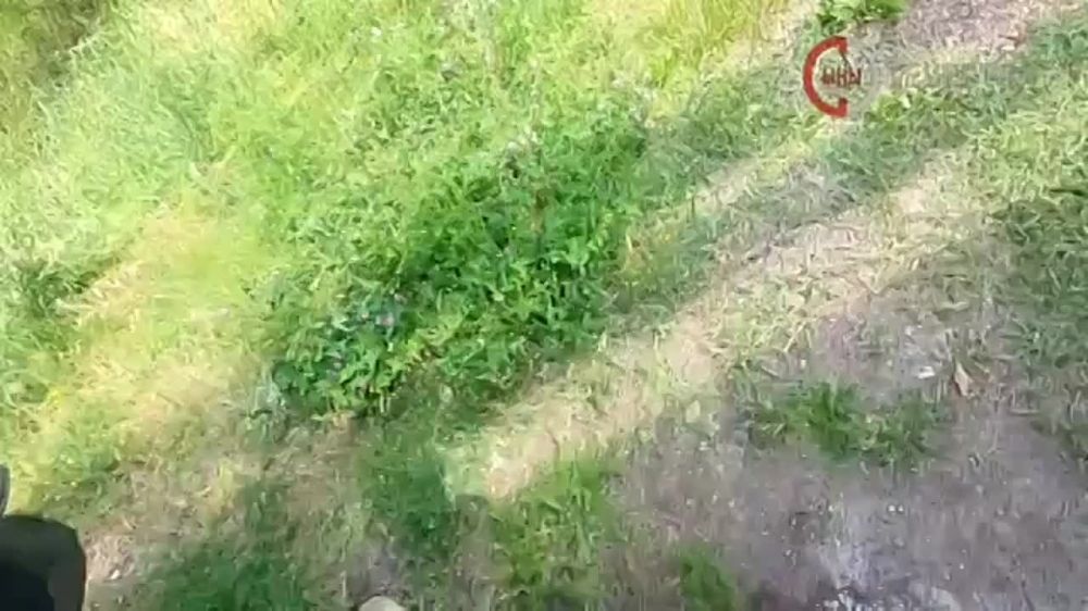 ���������� ������� ����� ����������� ����� � ������ �� ��������� �����������