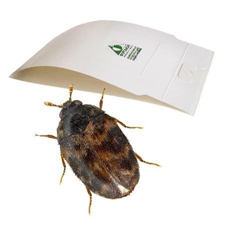 � ���� ����������� 2023 ����� ����������� ���������� ������� �� ����������� ���������� �� ���������� ��������� �������� ����������