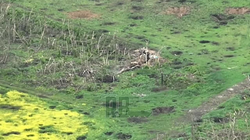 ������ ��� �������� �� ����� ����� �������� "�������"