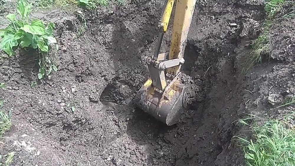 �� ������� ������� �������� ����������� ������������� ��������� ��������� �� ������������� � ��������������� ����� ������