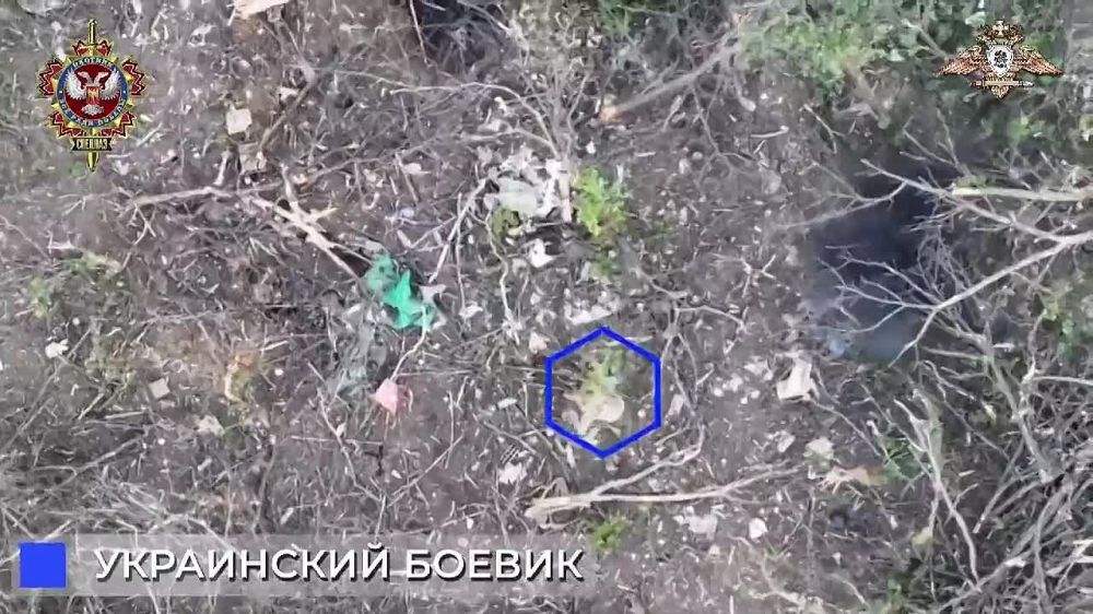 ���������� ������� ����� ������� �������� ���������� ����� ���� �����