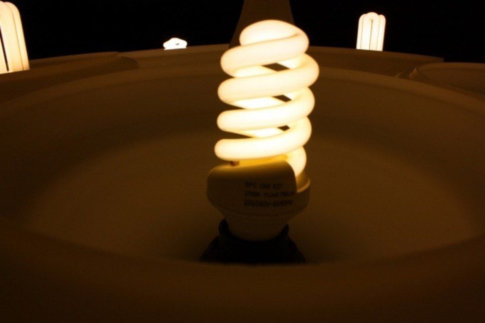 � ������� ���� �������� �������������� �� ���������� ������ 20 ����