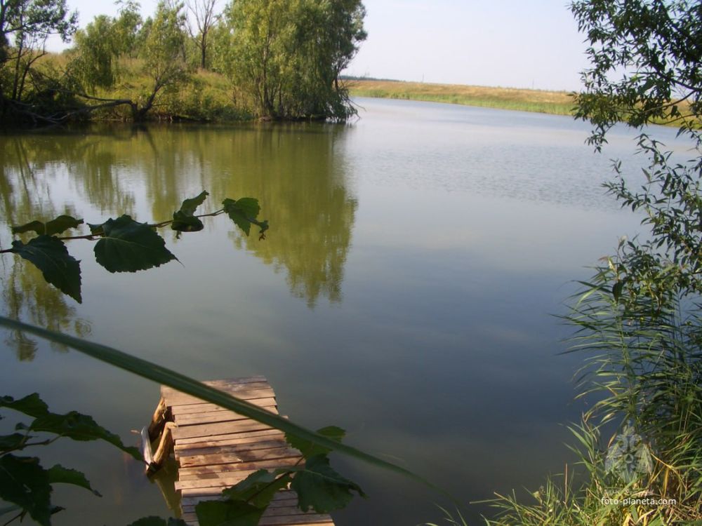 ��������� ��������� �������� �� ����� ���� ���������� ���� 32-������� �������