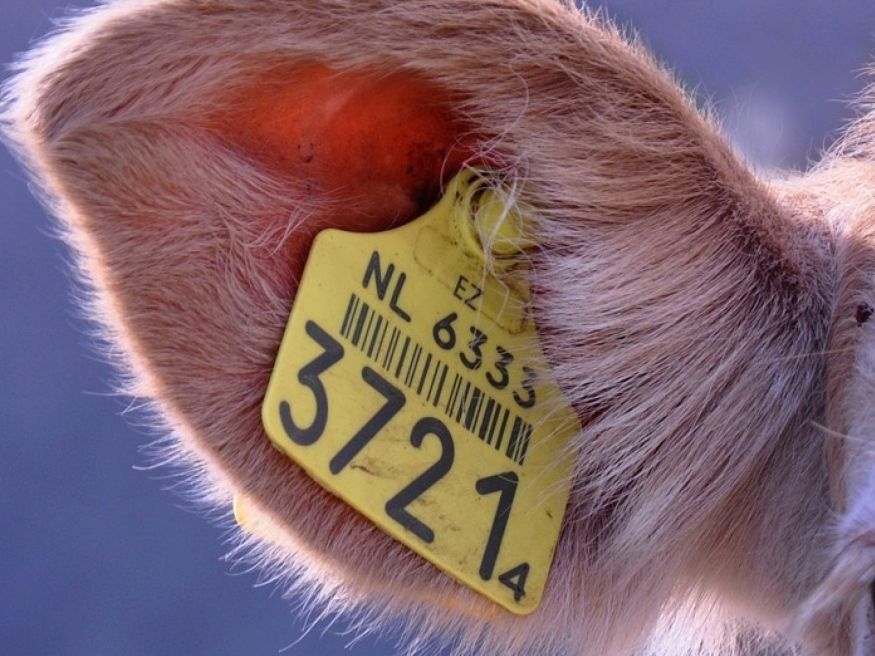 ���������� �������� ������ ������������, �� �� �����