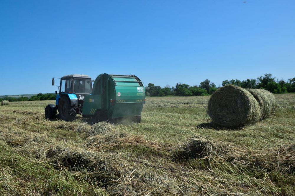 ����� ��������� ������ ������������ ���������� ������ ���������� � ����������