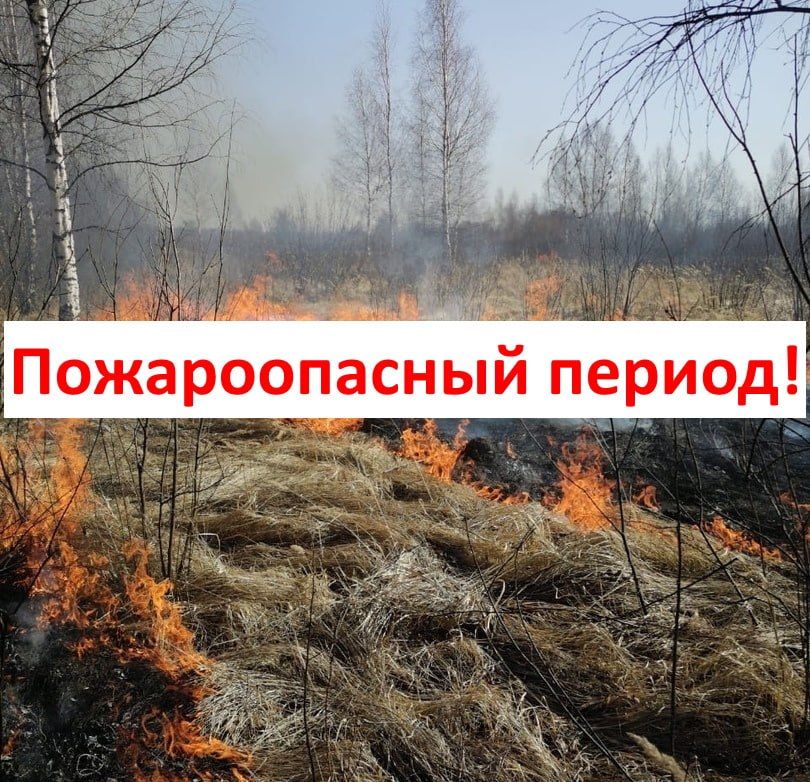 ������������� ��������� �������� ����������