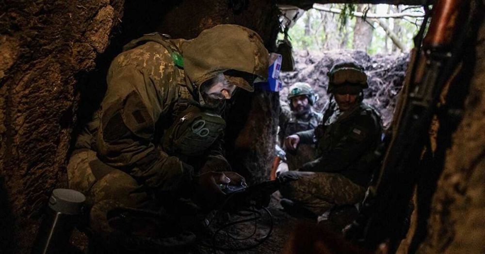 �������: ��� �������� ����� 2,3 ����� �������� �� ������