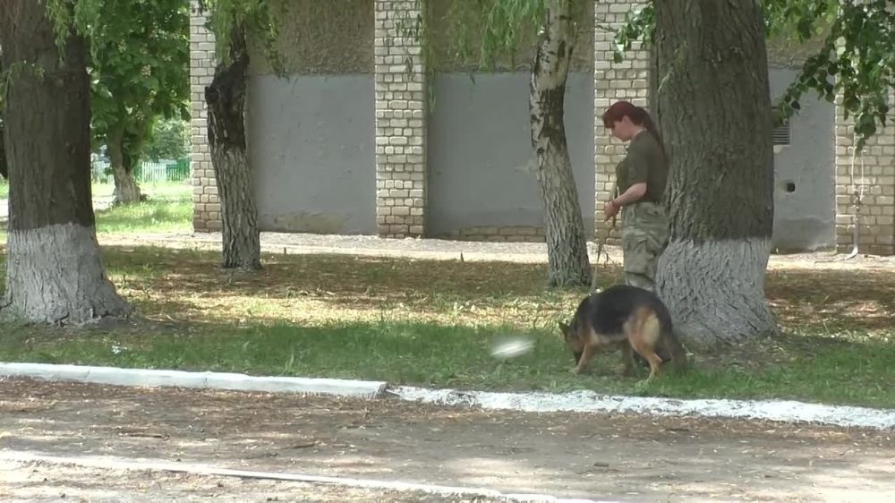 ����� ���������� ��� �� ���������� ��������� �������� ����������