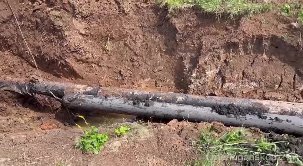 ����������� ����������� ���������� ������ 70 ������ �������������� ����������� � ������������ ������, �������� ����������� � ����� Telegram-������