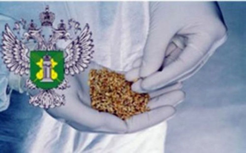 ������� ����� ��������� ���������