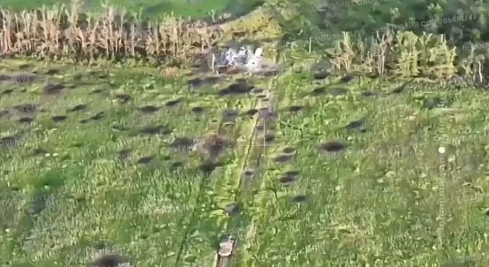 ������ ����� �90 � �������� ����������� ���������� �������