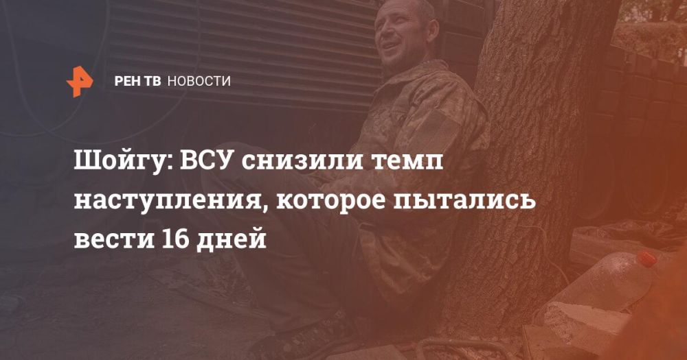Шойгу: ВСУ снизили темп наступления, которое пытались вести 16 дней