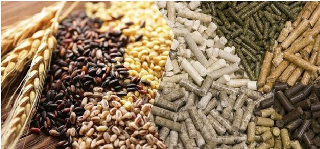 �����������-���������� ����� ��� ������������ ������ � �������� �������