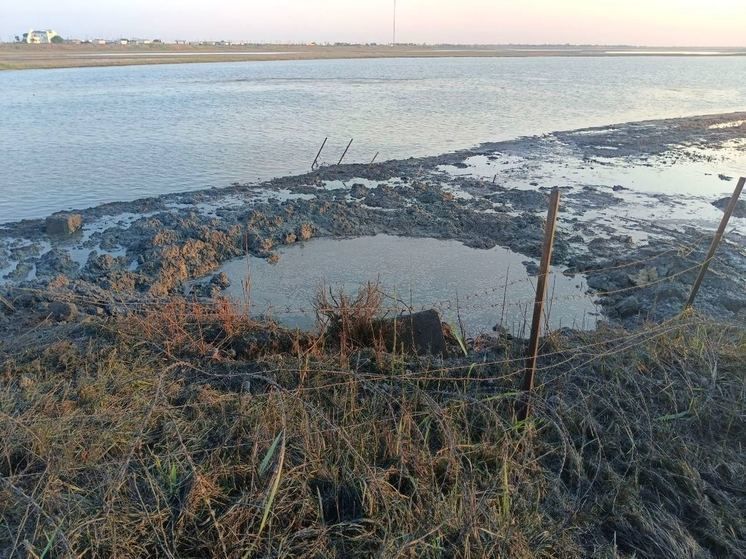 ������� ���������, ��� ����� �������� ��� �������� ����� �� ������