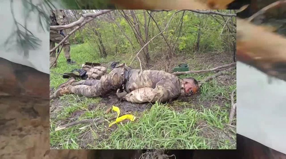 ���������� �����������: