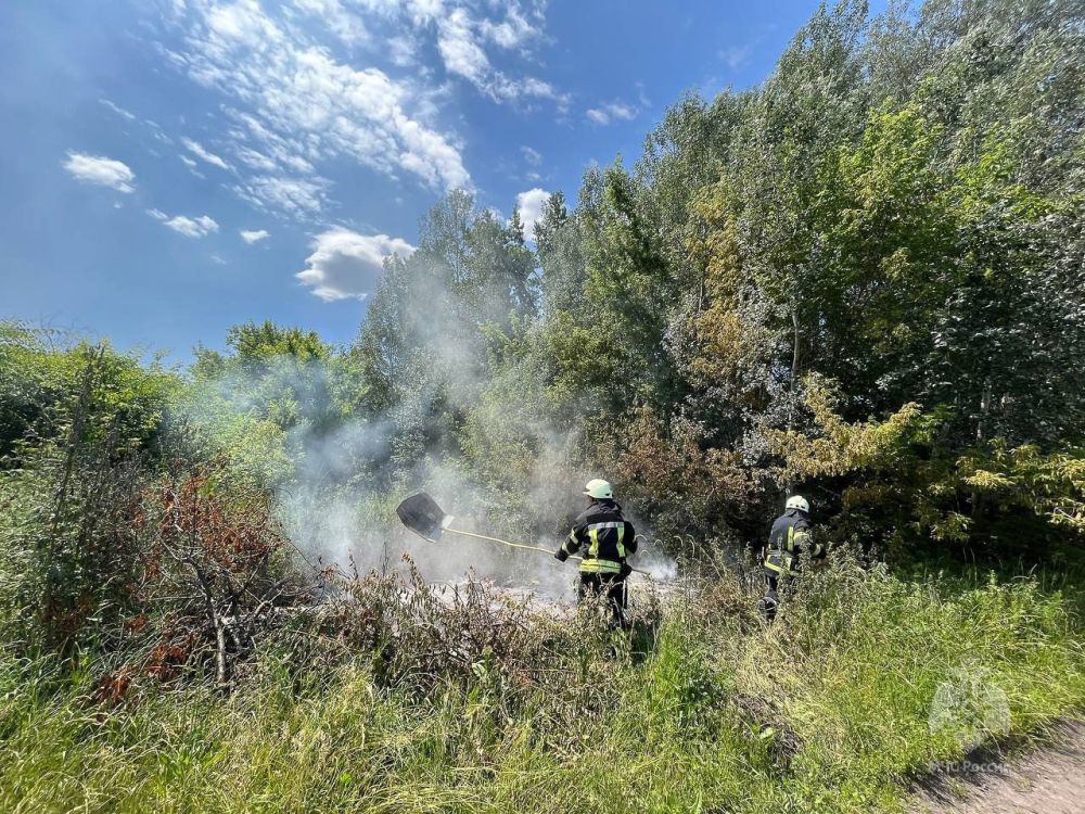 ��������� ������������� ���������� ����� ����� �� �������� ���������� � ������������� �.�., �. ���������