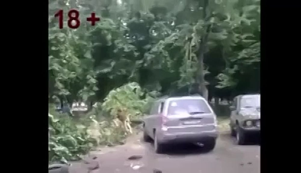 ����: ������� �� ������������ ������ ��������� �������� �� ���, � �������� ����� ������ �� �������� �������� ������� ���� � �� ��, �������� ���������� Telegram-������