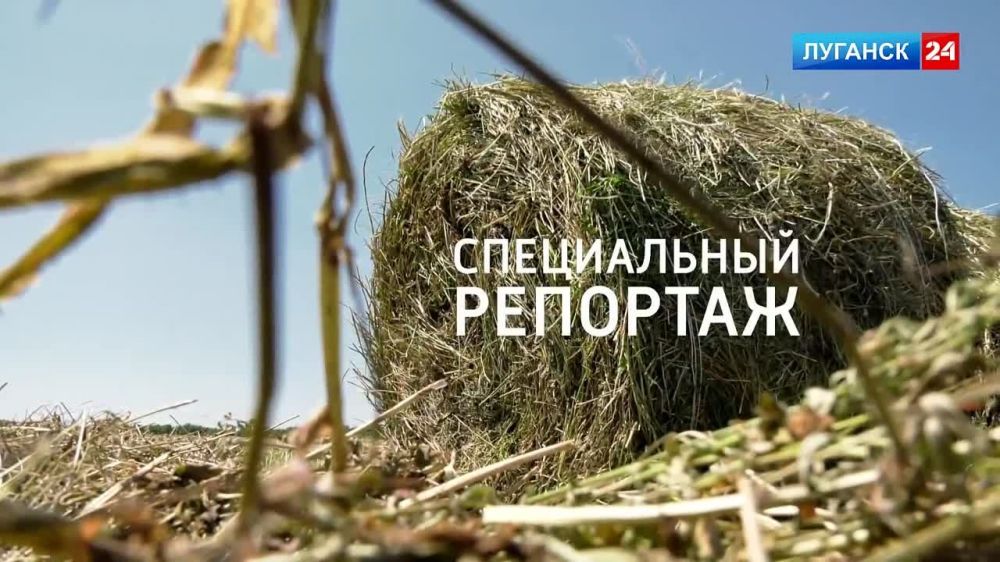 ������� � ������� ���� � ������ ��� ��������