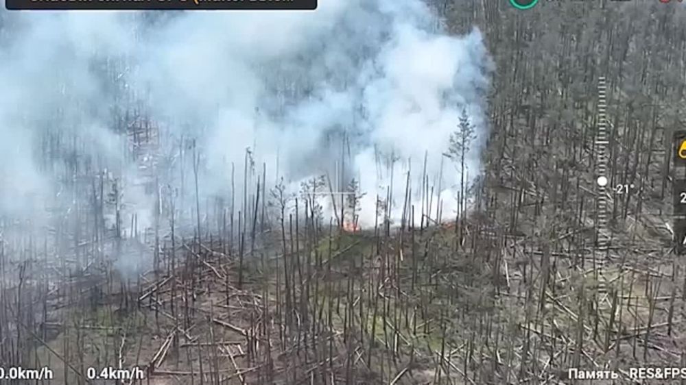 "��������": ����� �� ���������