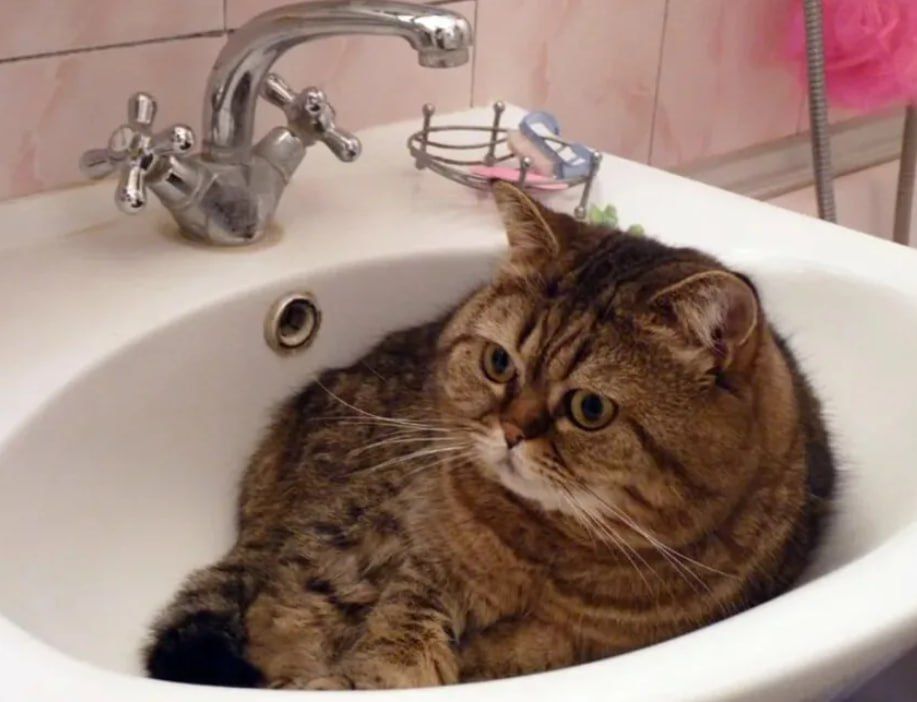 ������������� ����� ������������ ������ �������� ������������ � ������