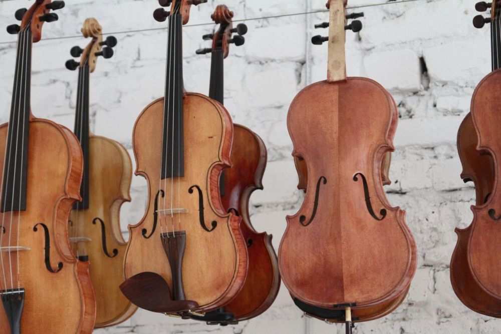 �������, ����� � ����������: ���������� ���������� �� ������������ ���������� ������������ �������� � ���