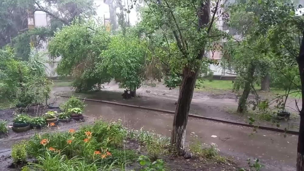 �� ������� ���������� ��������