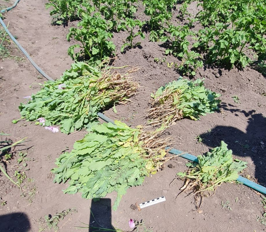 � �������� � ��������� ���������� ����� 300 ������ ���� �� ������� �����������