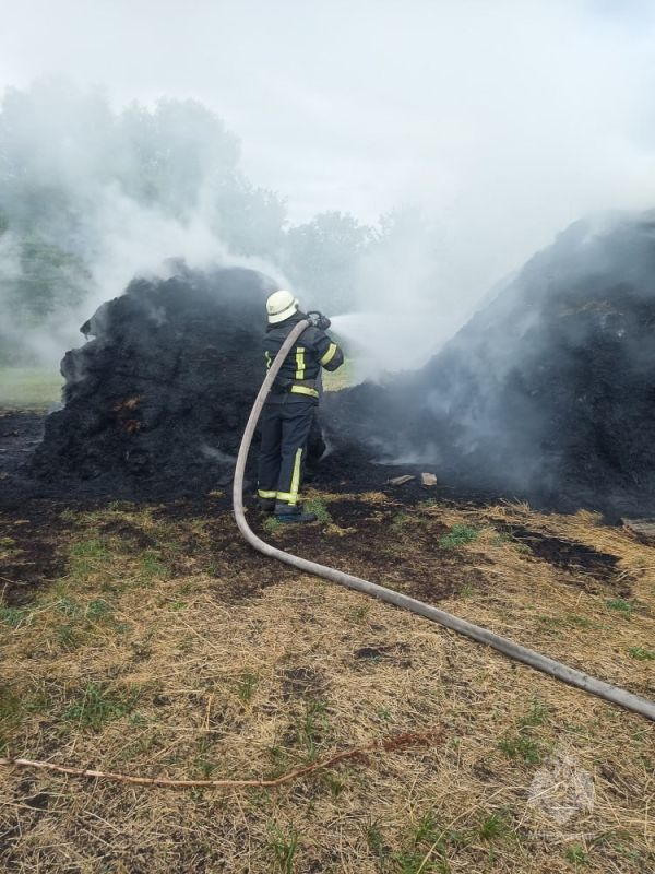 ��������� ������� ��������� ������������� ���������� � ���� ������