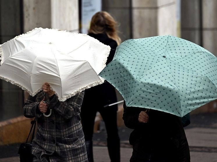 ������� ������������ � ������� ������ � ���� ��������