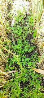 ���������������� �� ��� ��������� 11 ����������� ��� ��� ���������� ��������